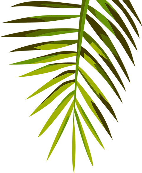 Tropical Leaf_edited_edited.png