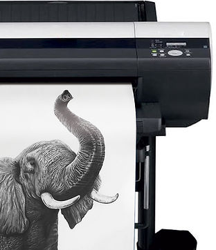Prints.jpg