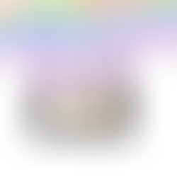 "Forever in Your Heart: End of Life Pet Photography for Melbourne and Geelong Families"