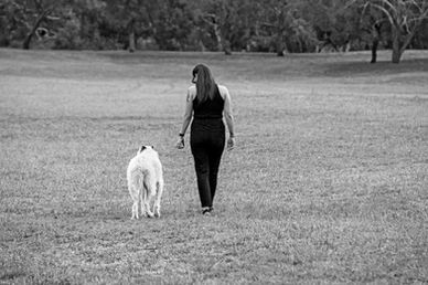 black and white dog photo. Geelong