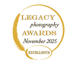 Excellence November 2025.png