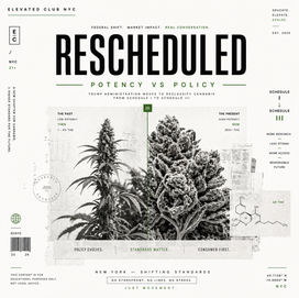 Rescheduling Cannabis While Potency Rises — What It Really Means for the Market