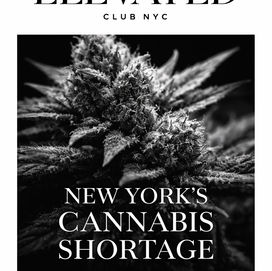 New York’s Cannabis Boom: Demand Is Outpacing Supply