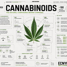 Cannabinoids Explained: The Natural Compounds That Make Cannabis Unique