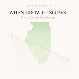 When Growth Slows: What Illinois Cannabis Sales Tell Us About the Market