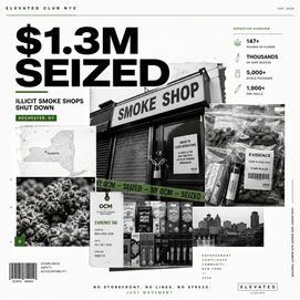 $1.3M Cannabis Seizure in Rochester Signals Intensifying Crackdown on Illicit Market