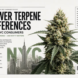 Flower Terpene Preferences Among NYC Cannabis Consumers