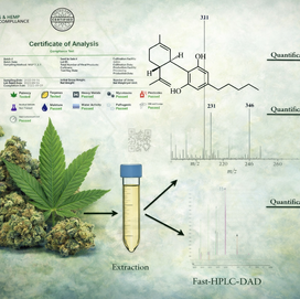 How Cannabis Products Are Tested for THC Percentage
By Justice | Elevated Club NYC