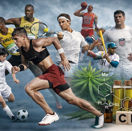 CBD, Recovery & Rest: What Elite Athletes Are Teaching Us About Modern Wellness