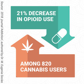 Opioid Prescriptions Drop In States That Legalize Marijuana, Federally Funded Study Shows, Suggesting Some Pain Patients Prefer Cannabis