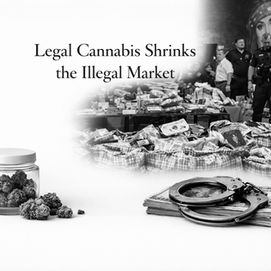 Legal Cannabis May Be Shrinking the Illegal Market