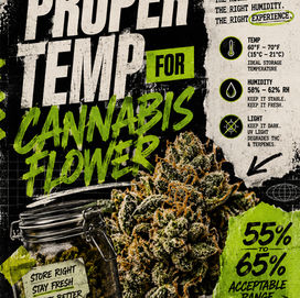 The Proper Temperature for Cannabis Flower: How Heat, Humidity, and Storage Affect Freshness