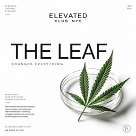 Cannabis Leaves Just Changed the Conversation