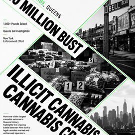 What the $10 Million Bayside Cannabis Bust Means for New York’s Cannabis Market