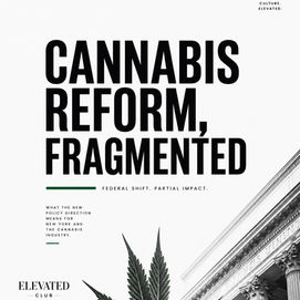 Cannabis Reform, Fragmented