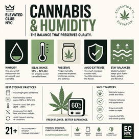 Cannabis and Humidity: Why Relative Humidity Is Critical for Preserving Flower Quality