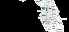 Citrus county highlighted in blue and the areas we serve highlighted in a light grey