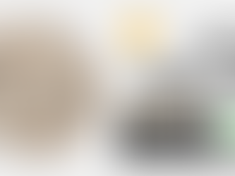 Tru UV Polymer Flakes: Why the Right Color Chips Matter for Long-Lasting Floors