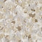 White Swan 1-4 UV Polymer Flake Close Up