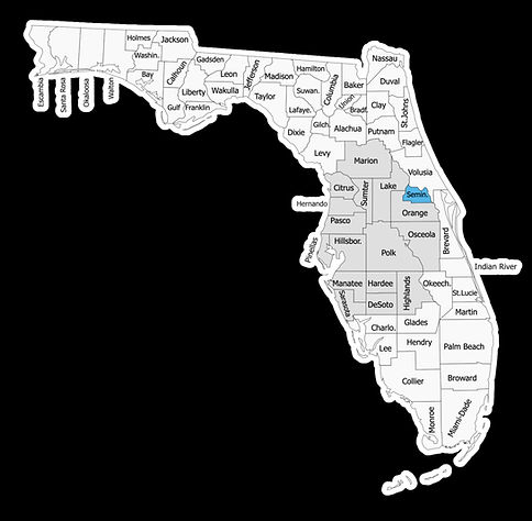 Seminole county highlighted in blue and the areas we serve highlighted in a light grey