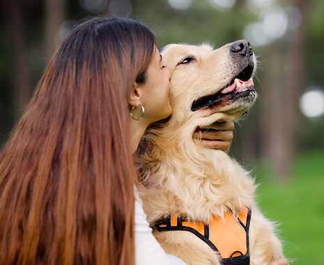 Dog Parks commercial and industrial flooring example Florida Epoxy installers