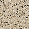 Shoreline 1-8.jpg