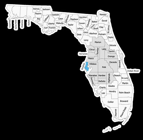 Pinellas county highlighted in blue and the areas we serve highlighted in a light grey