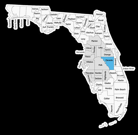 Osceola county highlighted in blue and the areas we serve highlighted in a light grey