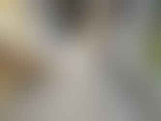 Who Does Crack Repair and Epoxy Coatings for Patios in Lakeland?