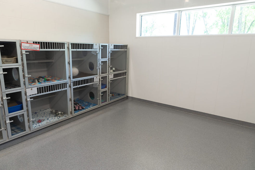 Solid Paint Industrial Floor with Durability and Easy to Maintain
