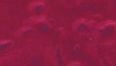 Merlot metallic floor coating with deep burgundy finish