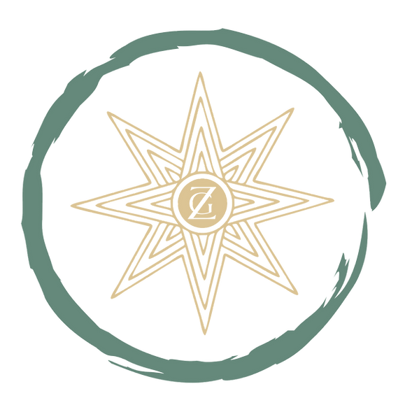 Zentara Group boutique healthcare advisory for patient-centered professionals