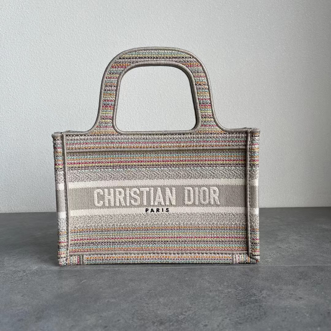 Christian Dior Book Tote Bag Multicolor Stripes Small