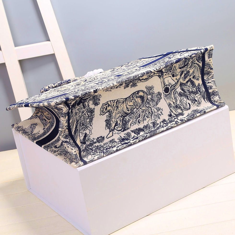 Thumbnail: Christian Dior Book Tote Bag Blue & White Extra Large