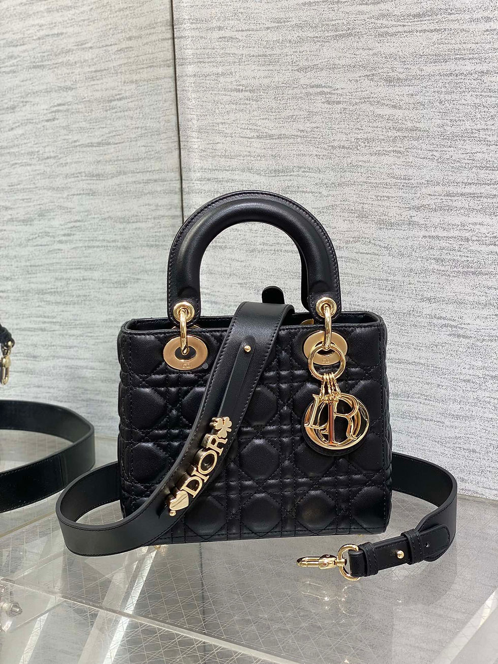 Christian Dior Lady D-Sire Handbag Black