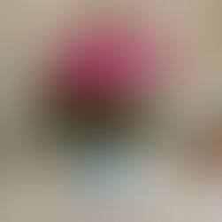 How to Add Quick & Easy Color to Your Home During Winter