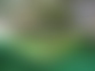 GAA桜美林校NEWクラス開講&お試し無料体験会開催!