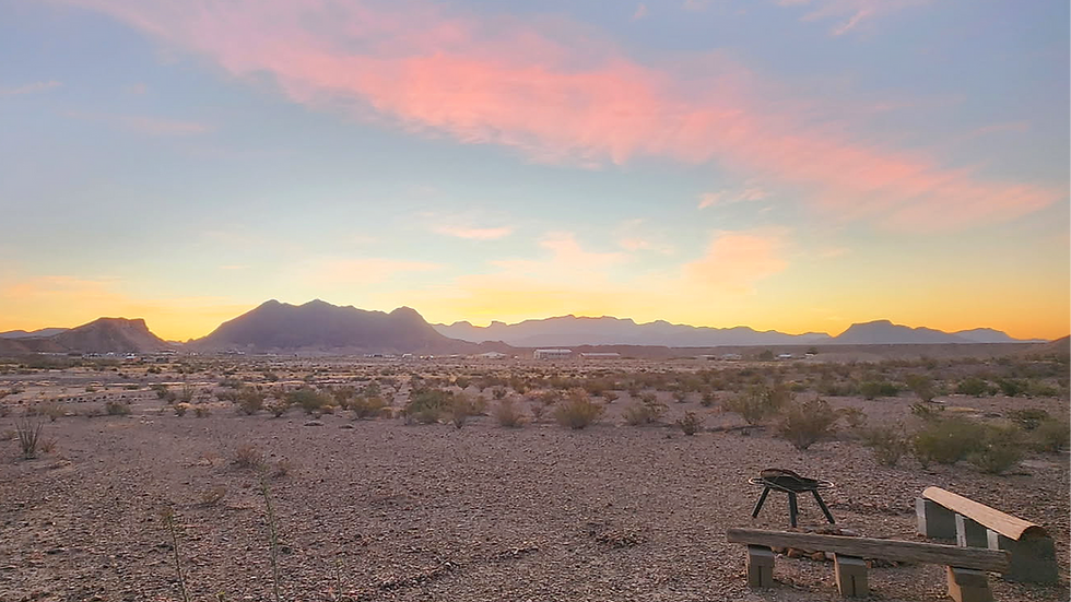 Views from the Modern House