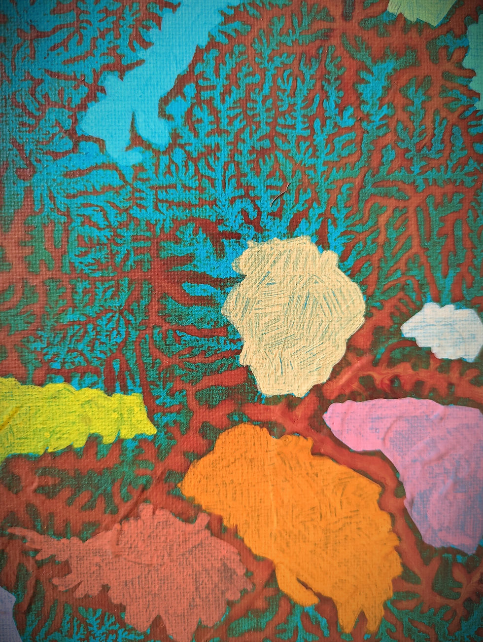Thumbnail: UCU 13