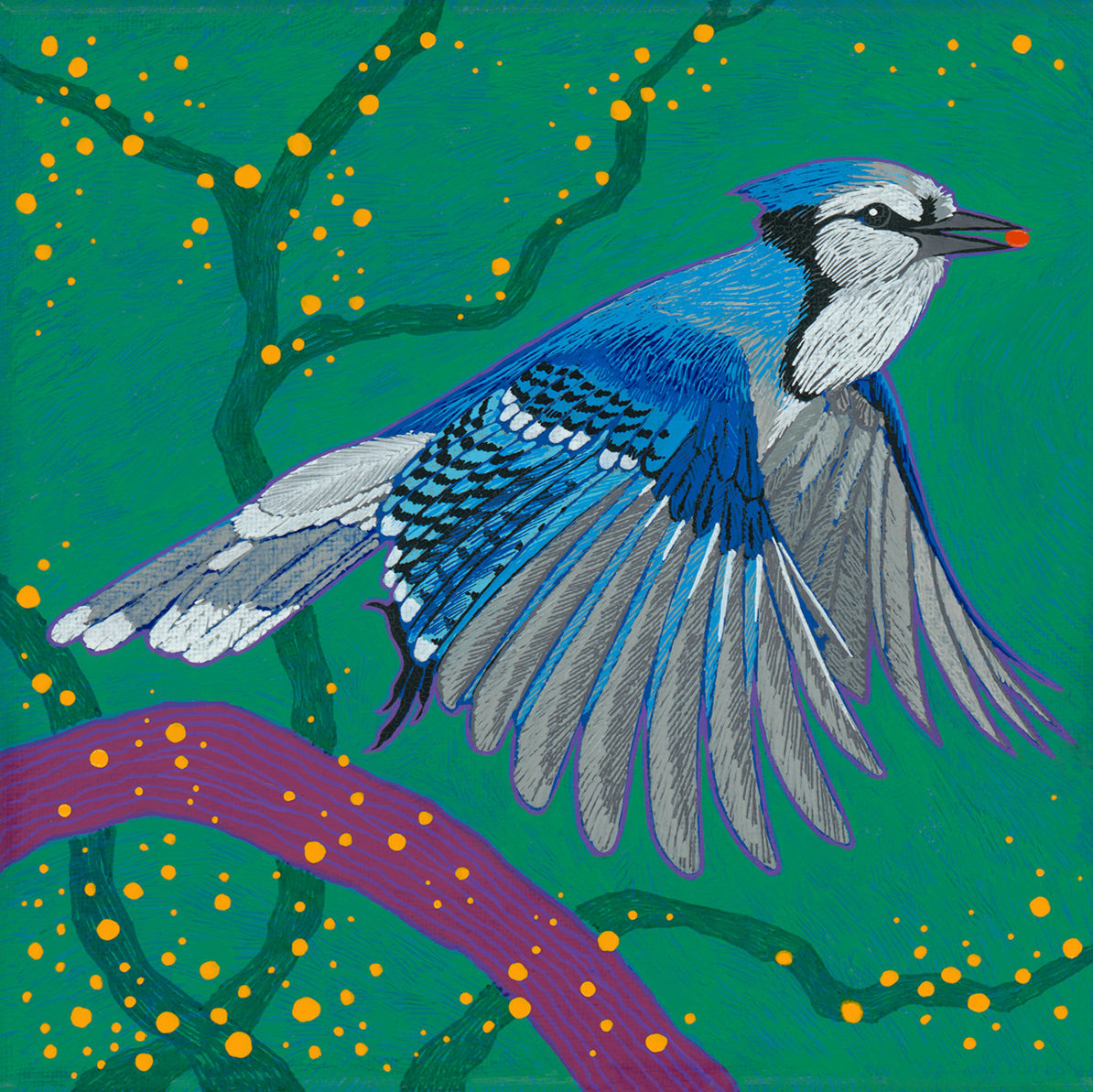 JAY 04