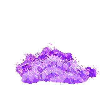 IMG_1007.PNG