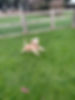 murphy 3.jpeg