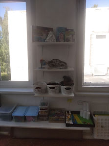 IMG_20210805_142009.jpg