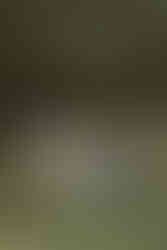 Séance photo en famille