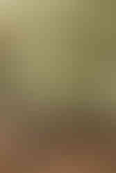 Séance photo couple