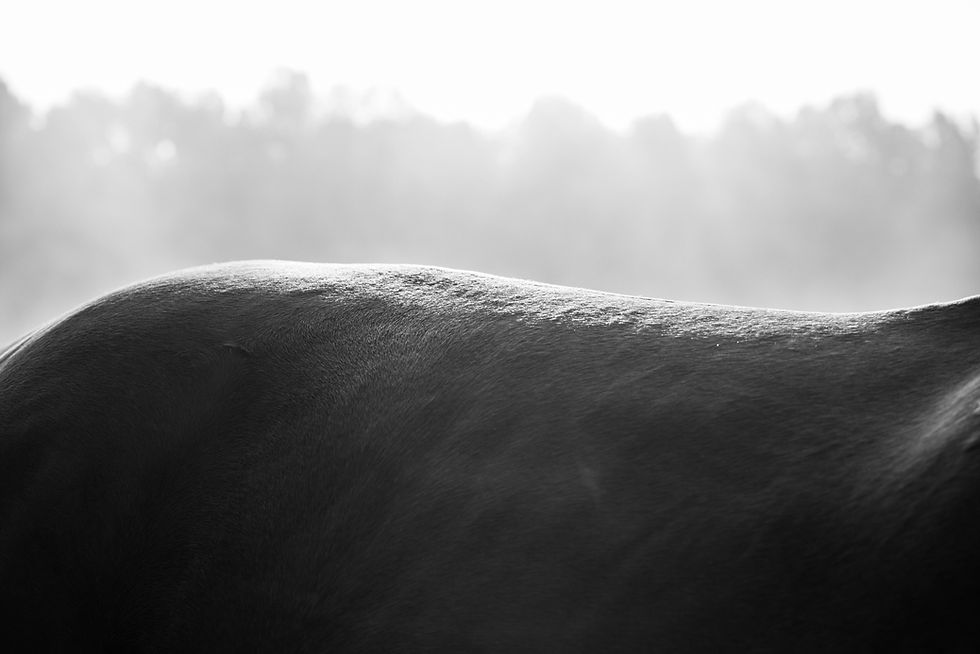 © Julie de Solliers 2020-46.jpg