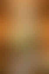 Mariage civil à Rouen