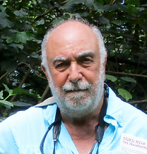 Screen Shot 2020-05-25 at 2.20.46 PM.png