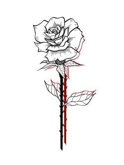 Rosa pal