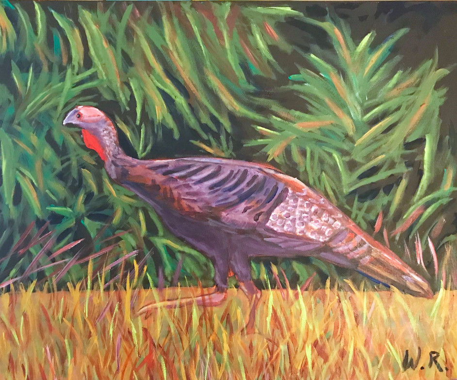 Wayne Russell, Wild Turkey, Oil.jpeg